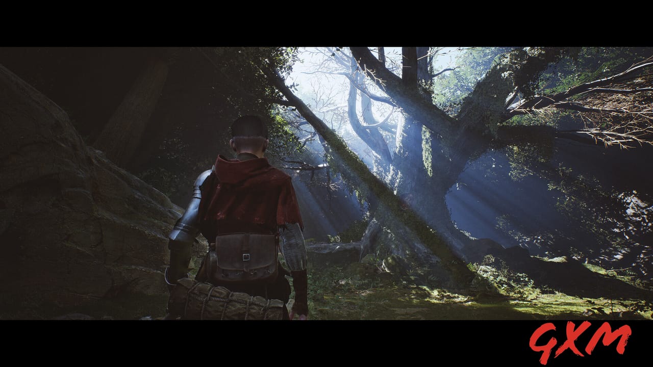 Screenshot 5 of 1348 Ex Voto