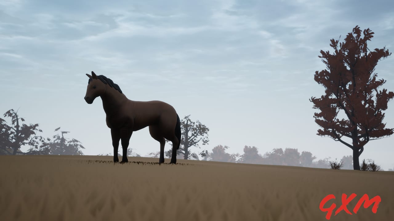 Screenshot 4 of Adios