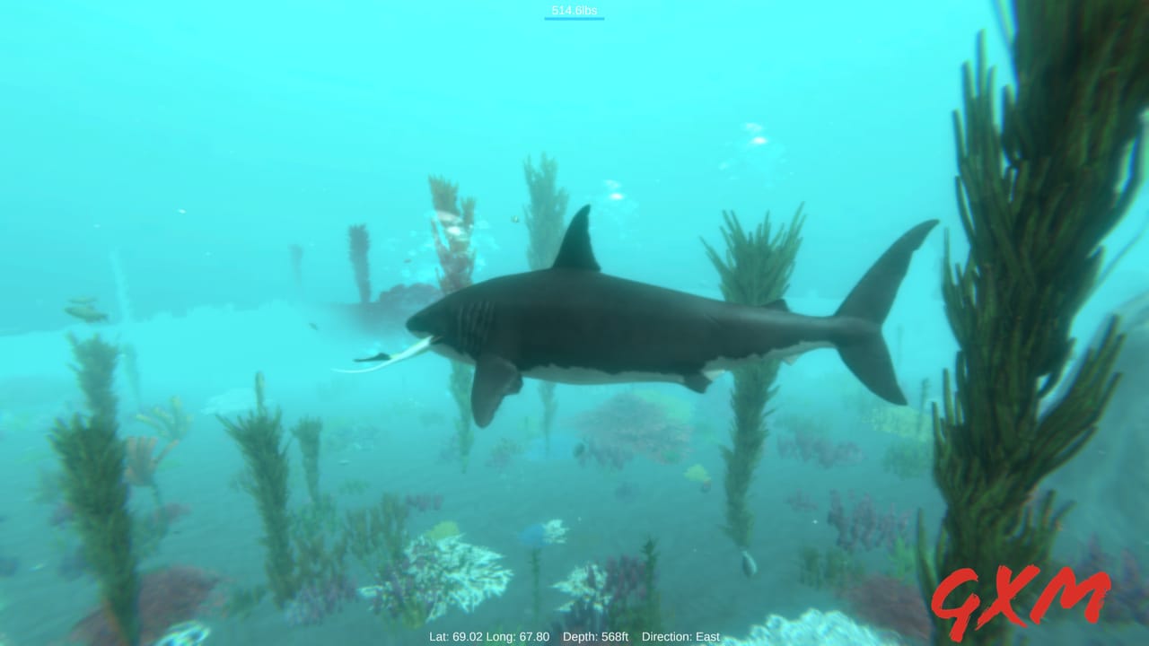 Screenshot 3 of Alpha Shark