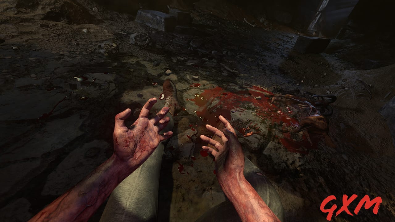 Screenshot 5 of Amnesia: Rebirth