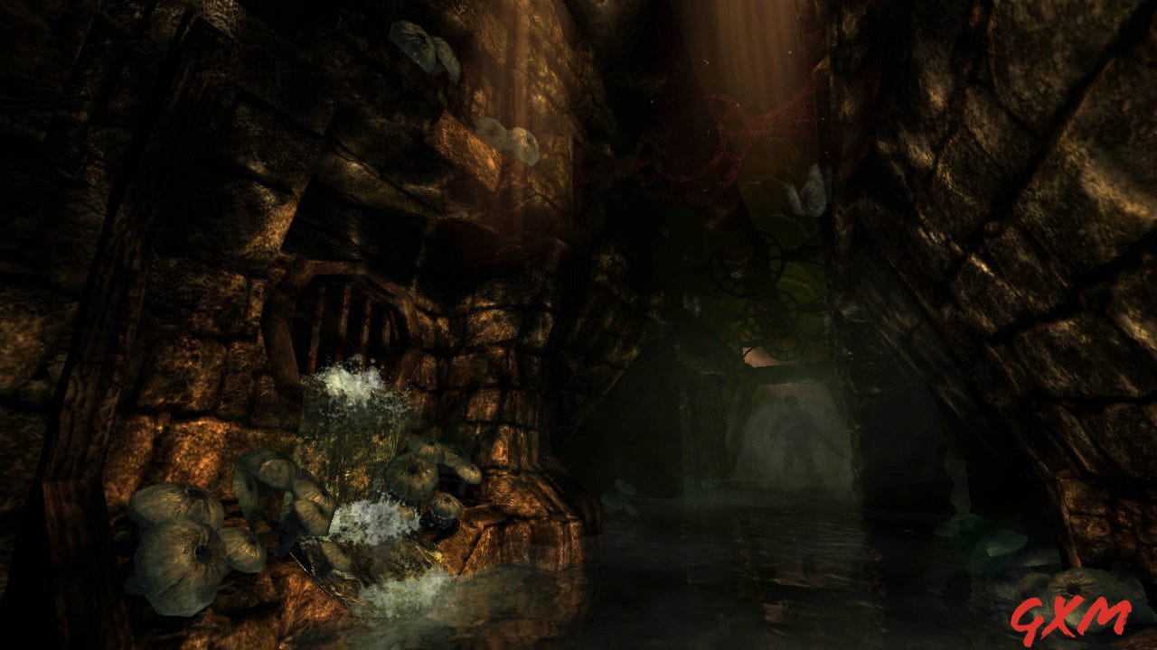 Screenshot 5 of Amnesia: The Dark Descent