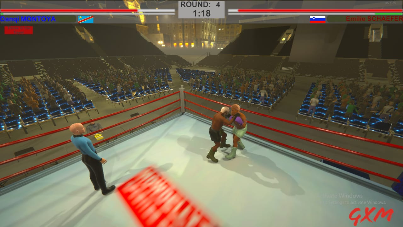 Art of Boxing Screenshot 1