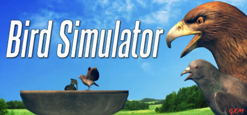 Bird Simulator