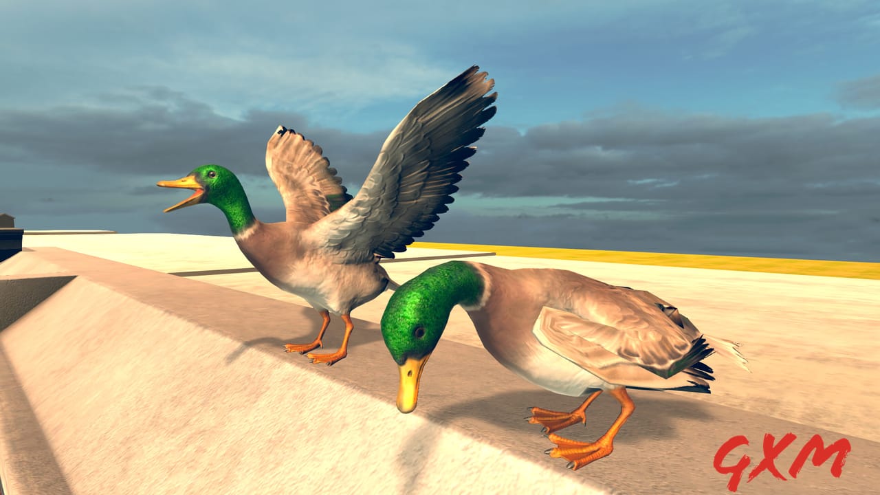 Screenshot 6 of Bird Simulator
