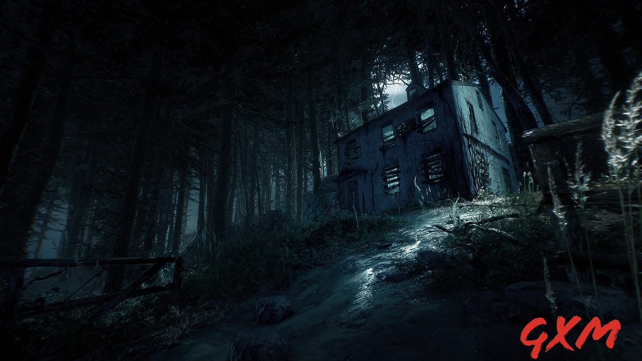 Screenshot 6 of Blair Witch