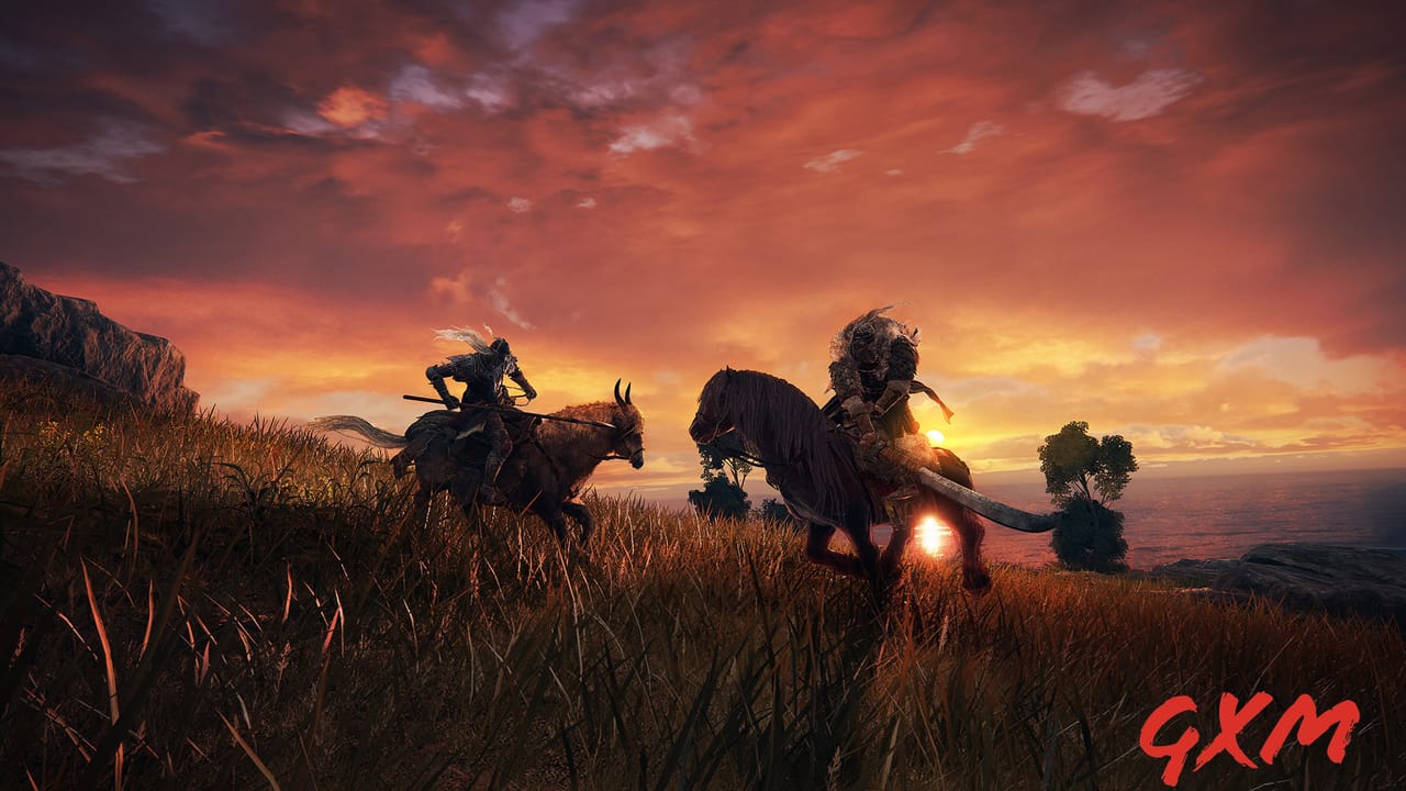Screenshot 2 of Elden Ring Deluxe Edition