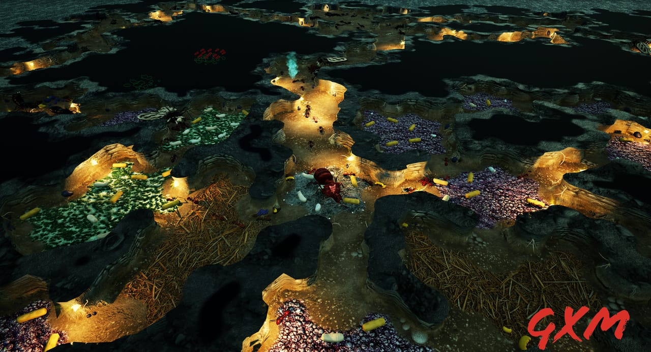 Screenshot 8 of Empires of the Undergrowth