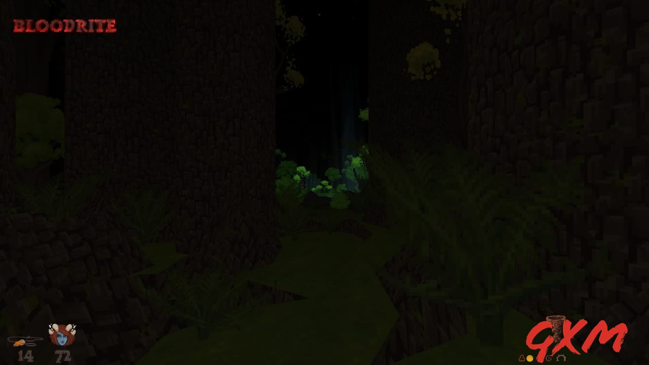 Screenshot 3 of Hedon Bloodrite