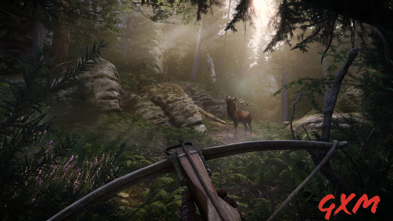 Screenshot 5 of Kingdom Come: Deliverance II