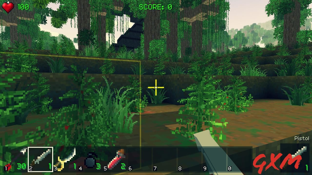 Screenshot 2 of PirateCraft