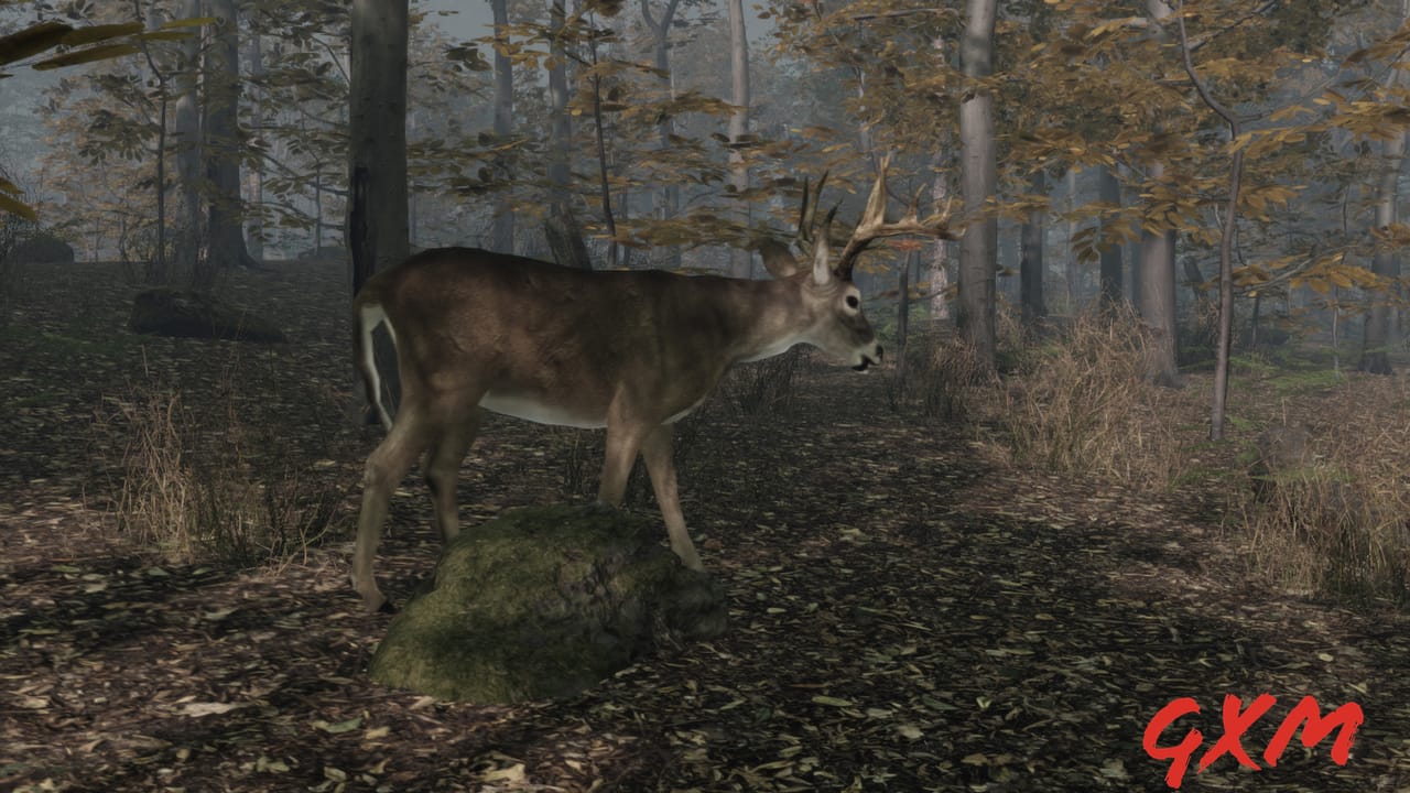 Pro Deer Hunting 2 Screenshot 1