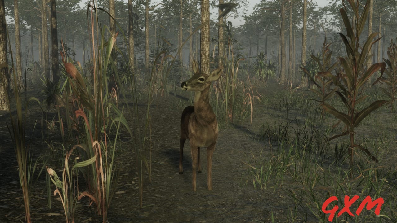 Screenshot 3 of Pro Deer Hunting 2