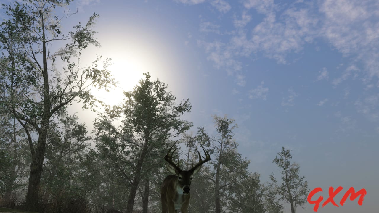 Screenshot 6 of Pro Deer Hunting 2