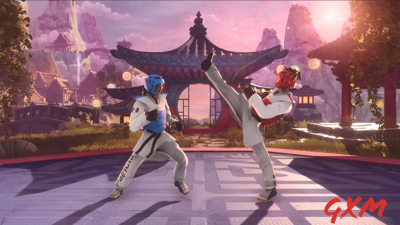Screenshot 2 of Taekwondo Grand Prix