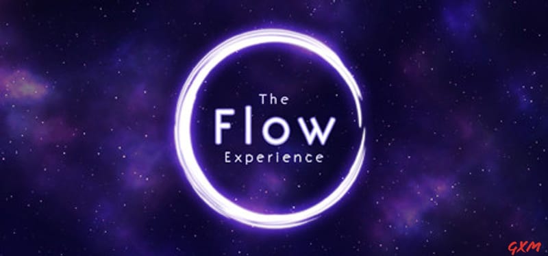 The Flow Experience