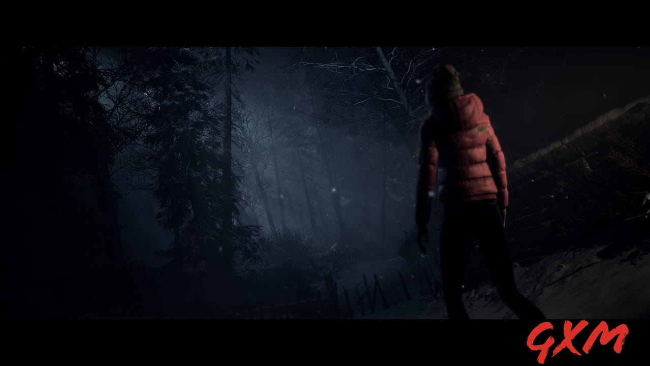 Screenshot 4 of Until Dawn