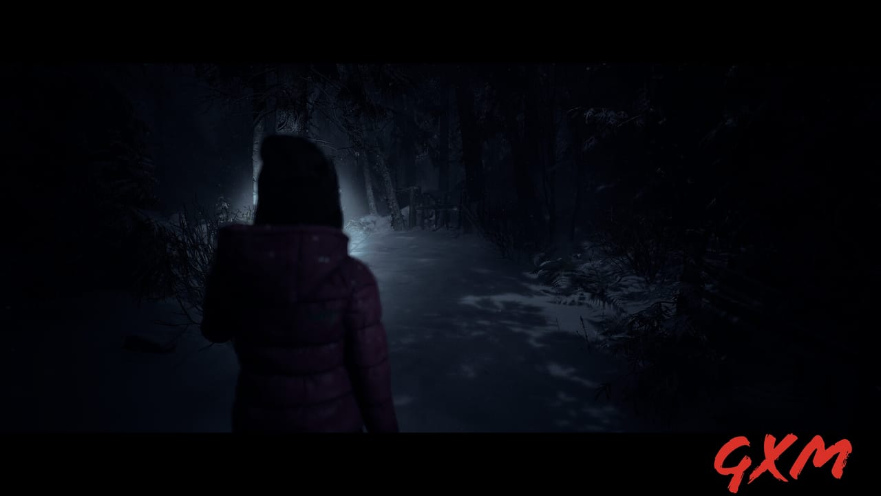 Screenshot 5 of Until Dawn