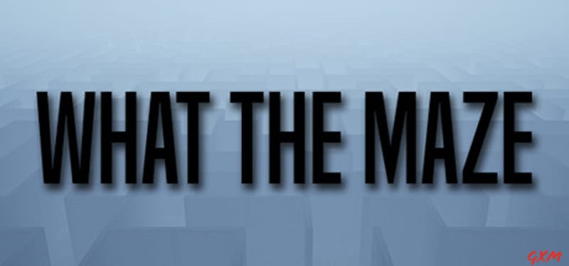 What The Maze
