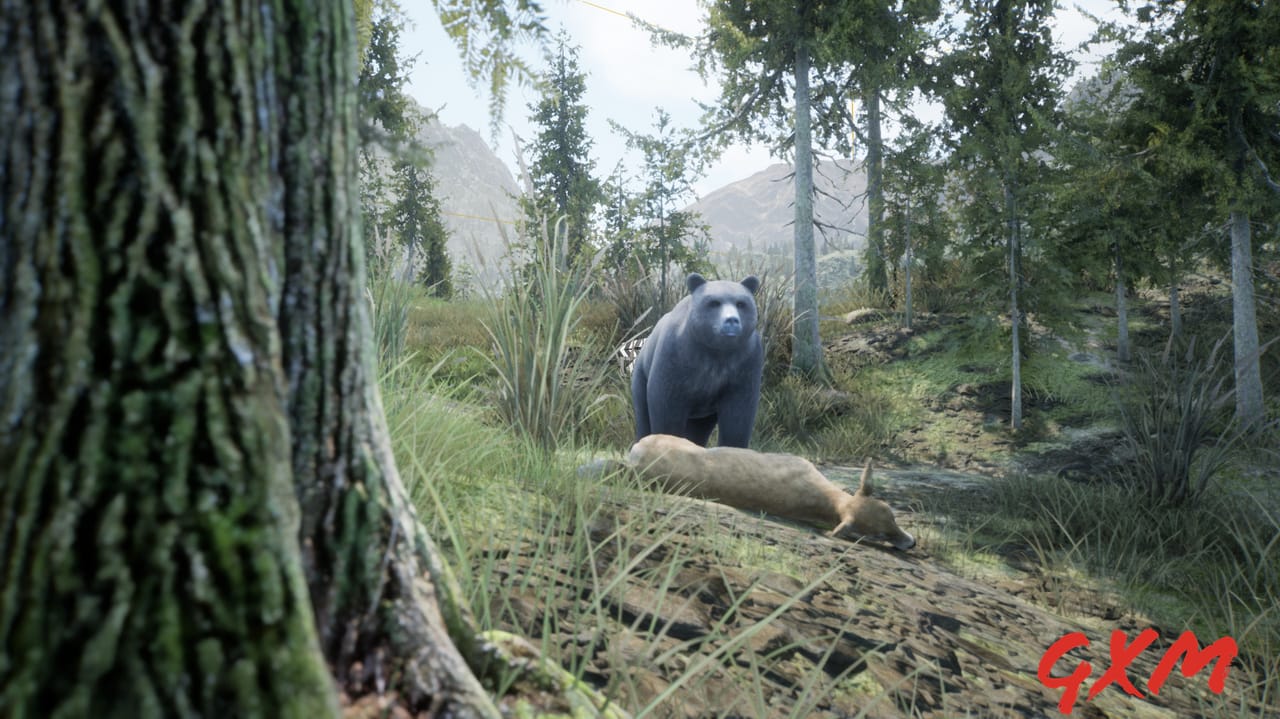 Screenshot 5 of Wilderness