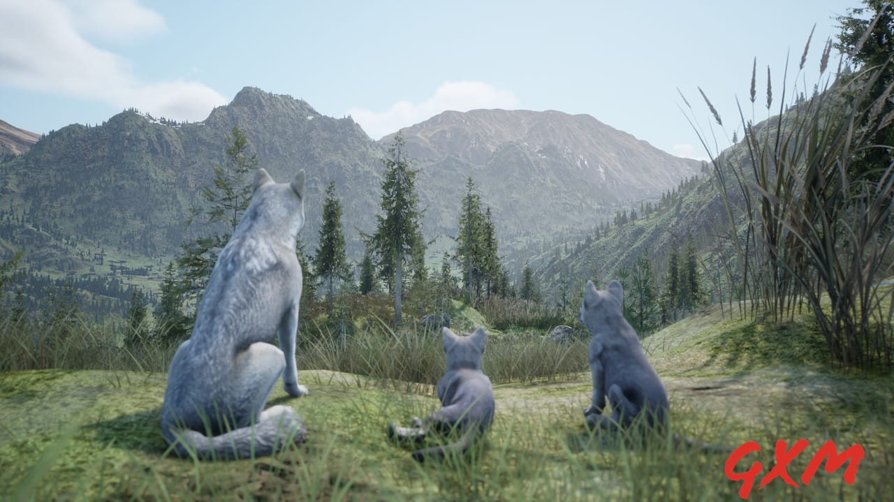 Screenshot 6 of Wilderness