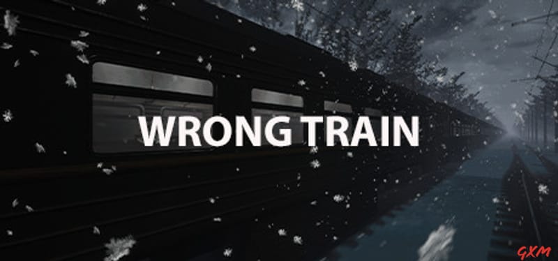 Wrong Train