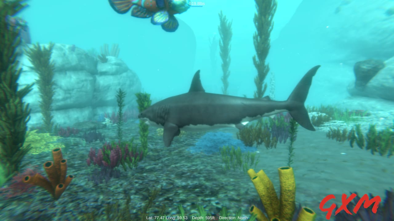 Alpha Shark Screenshot 1