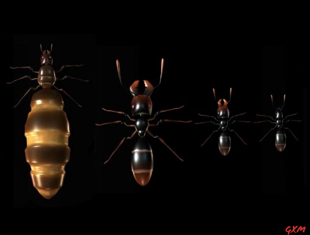 Screenshot 4 of Ant Queen