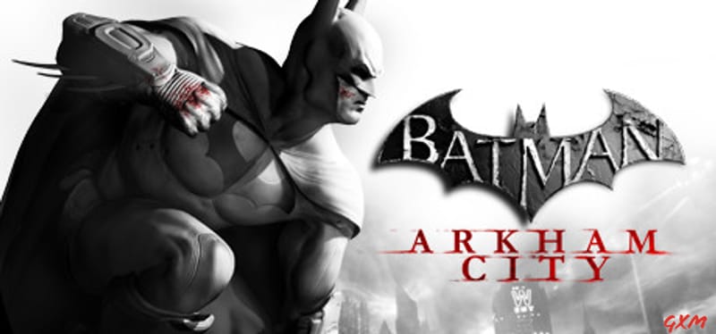 Batman: Arkham City Poster