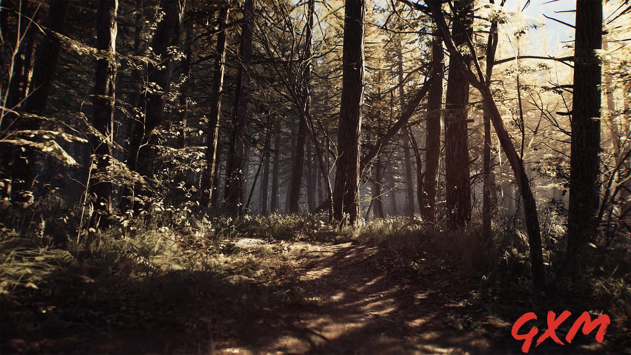 Screenshot 3 of Blair Witch