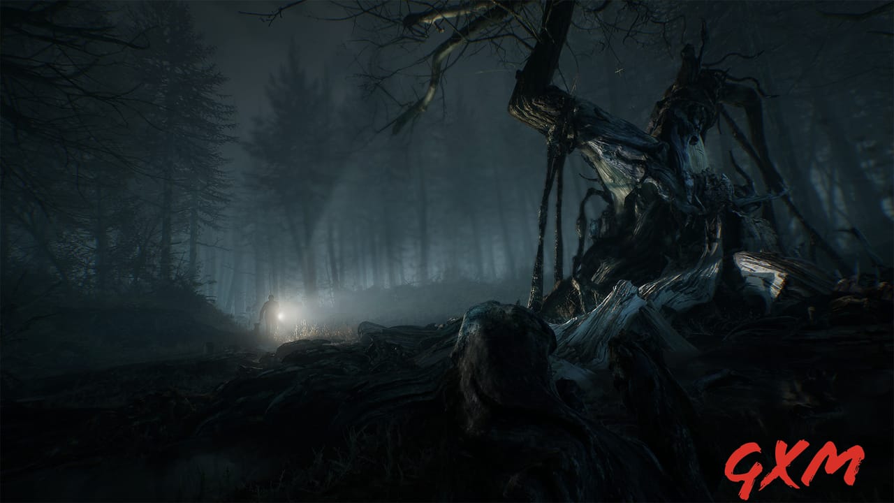 Screenshot 7 of Blair Witch