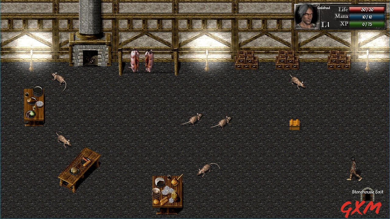 Screenshot 3 of Catacombs 1: Demon War