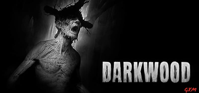 Darkwood Poster