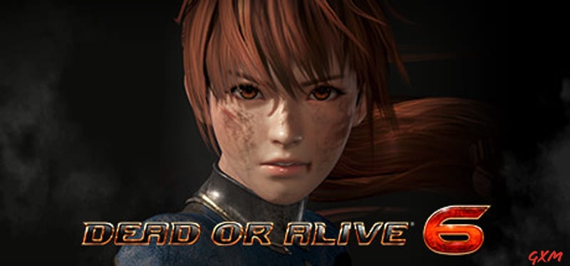 Dead or Alive 6 Poster