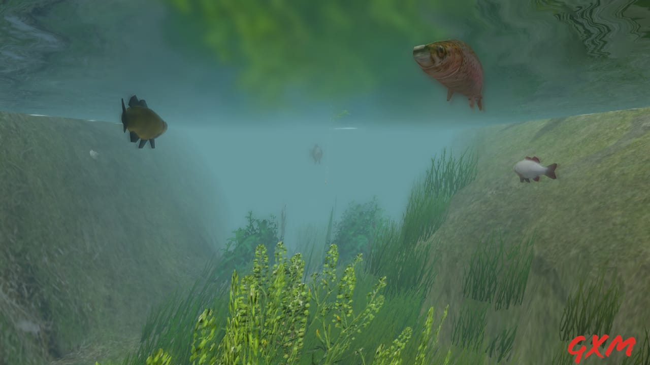 Screenshot 4 of European Fishing