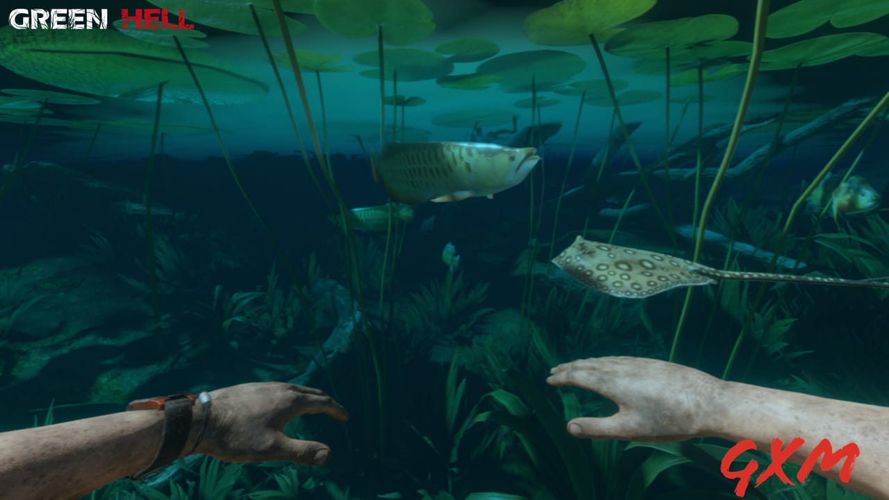 Screenshot 8 of Green Hell