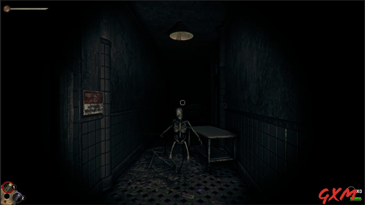 Screenshot 3 of Horror in the Asylum