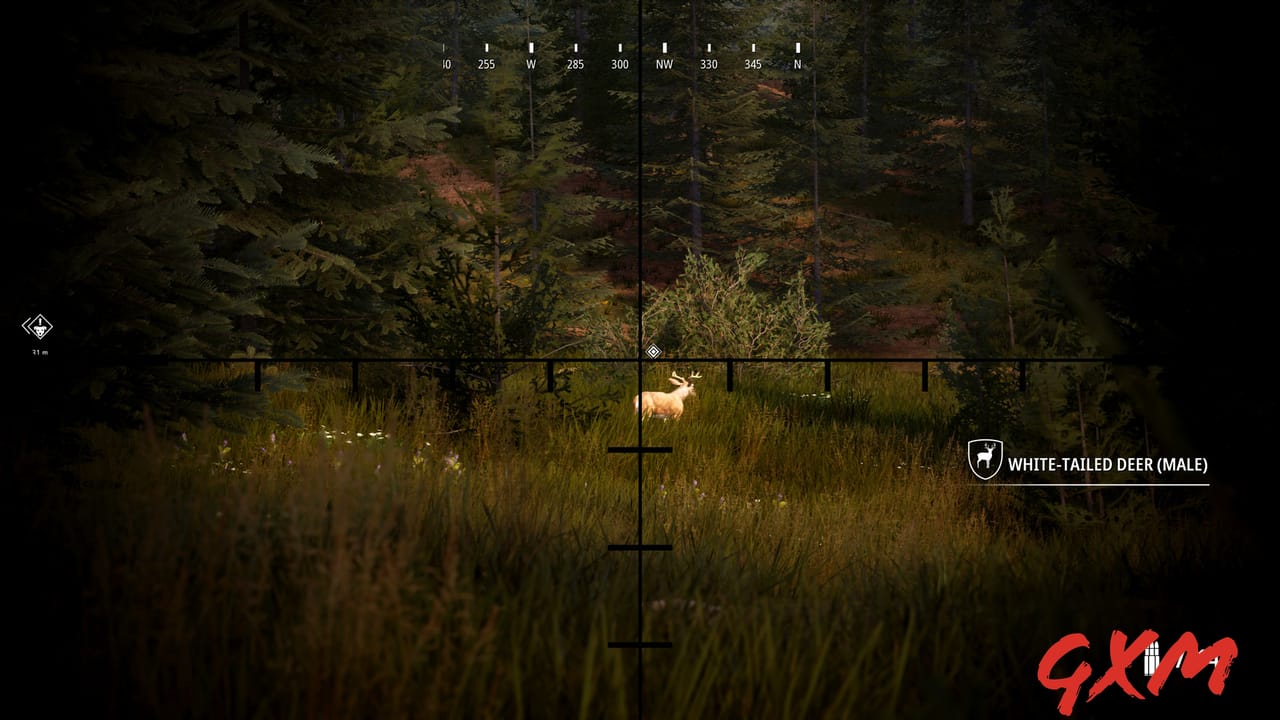Screenshot 6 of Hunting Simulator 2