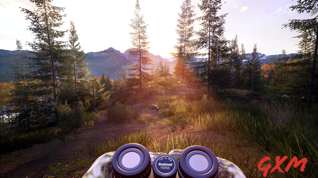 Screenshot 8 of Hunting Simulator 2