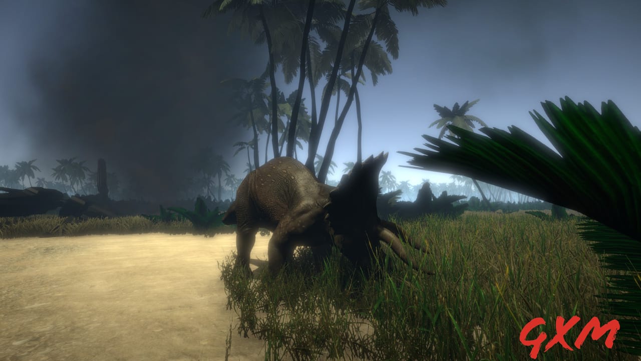 Island 1979 Screenshot 1