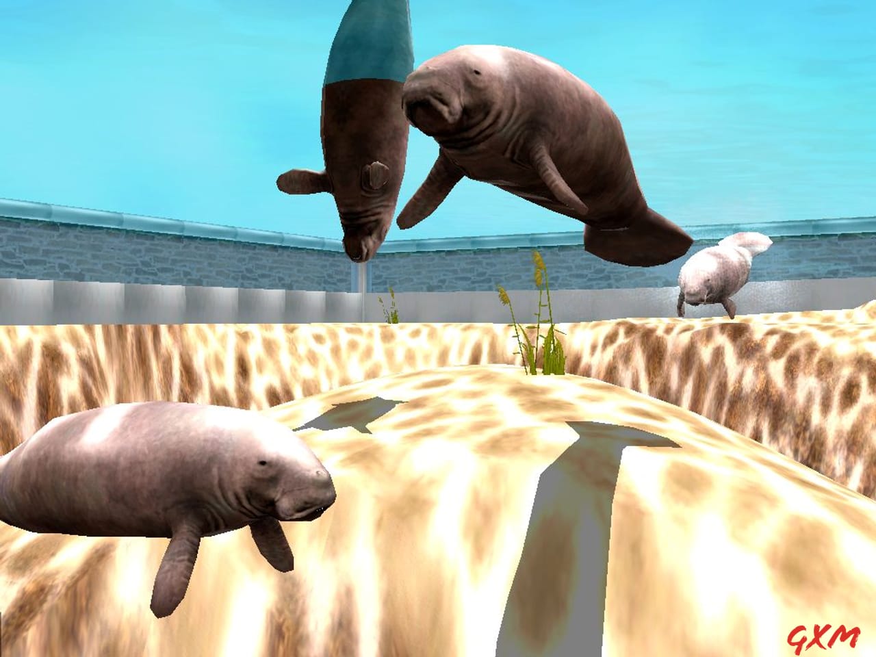 Screenshot 6 of Marine Park Empire