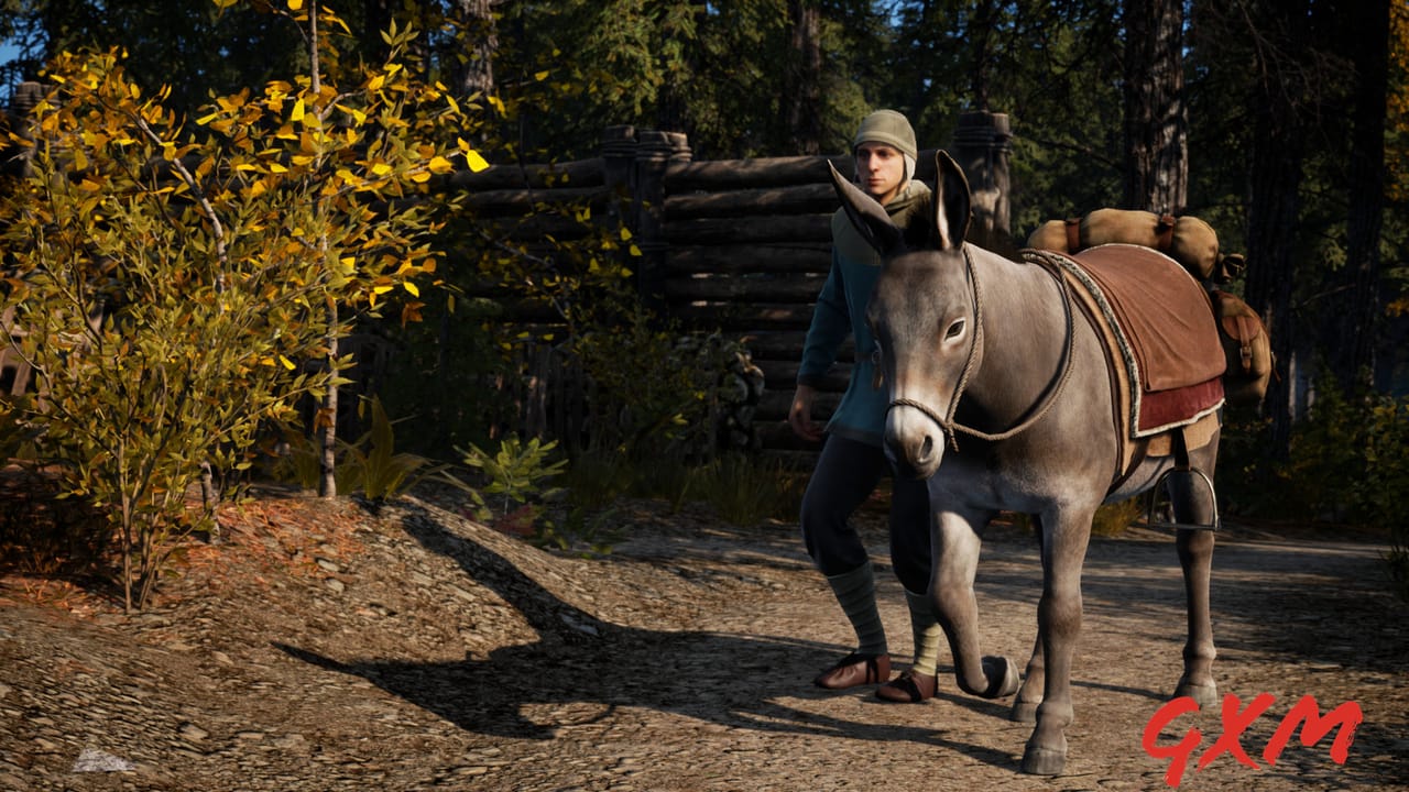 Screenshot 8 of Medieval Dynasty