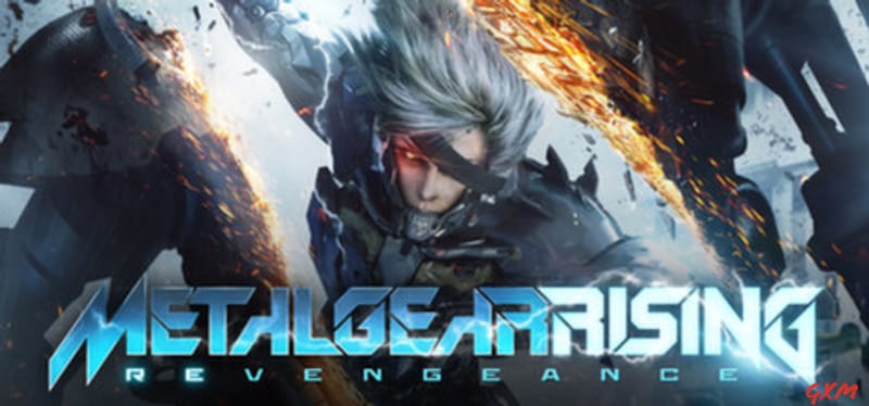 Metal Gear Rising: Revengeance Poster