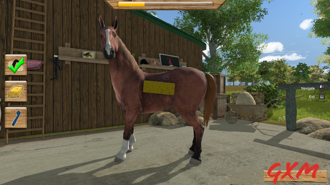 Screenshot 4 of My Little Riding Champion