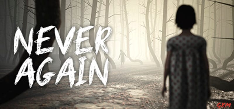 Never Again Poster
