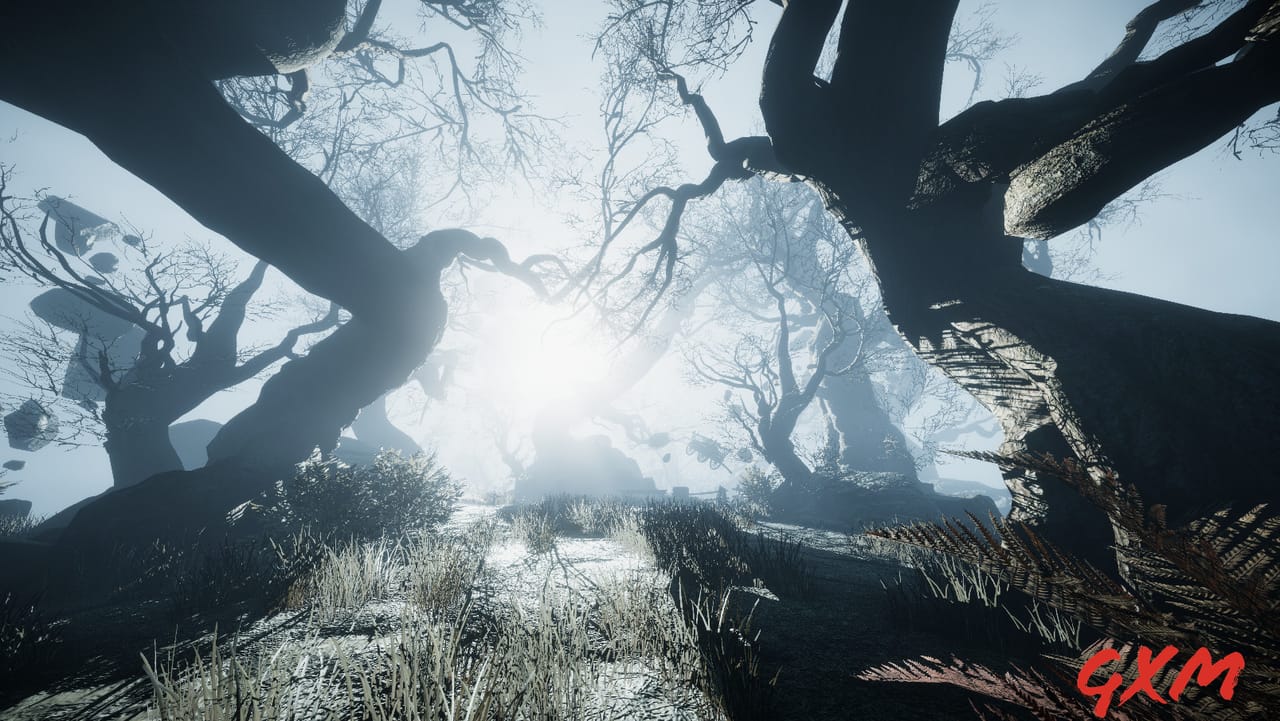 Screenshot 3 of Ravensword: Undaunted