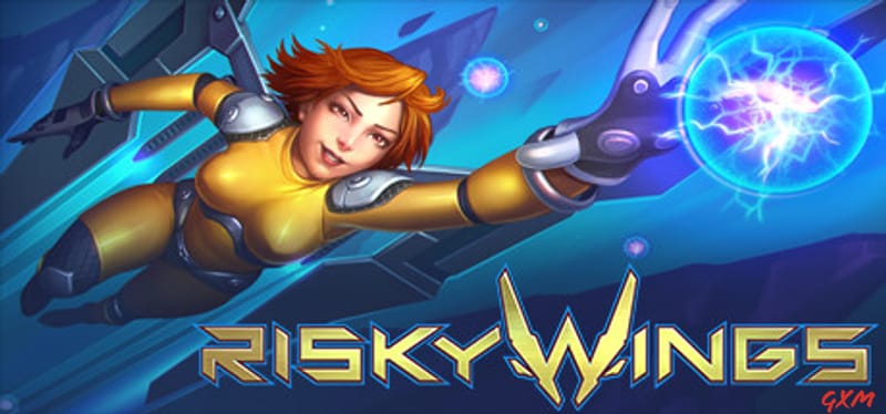 Risky Wings Poster