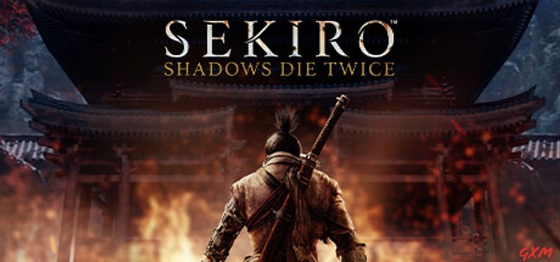 Sekiro: Shadows Die Twice Poster