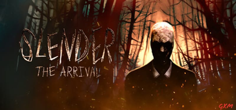 Slender: The Arrival Poster