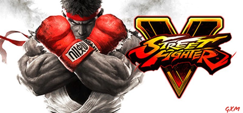 Street Fighter V Poster