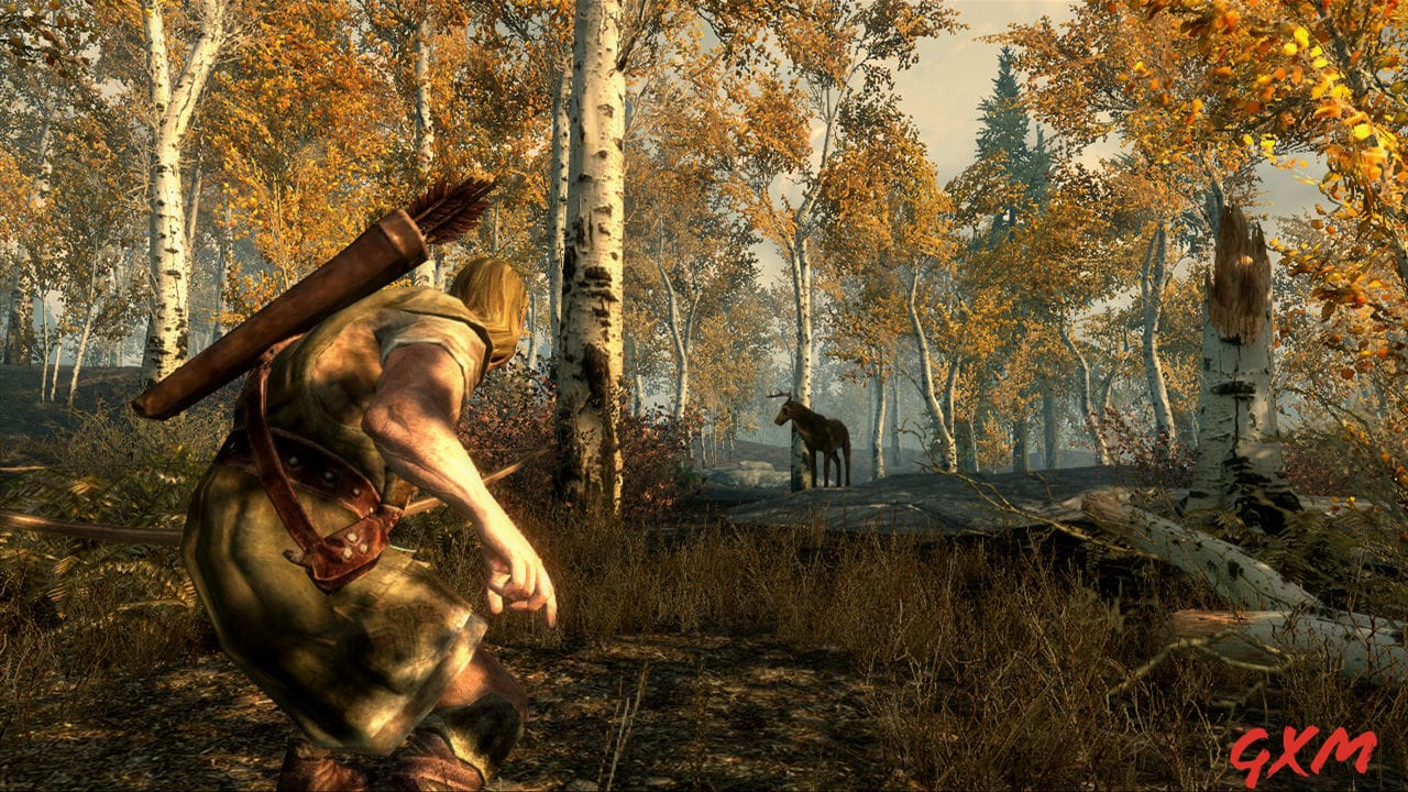 Screenshot 5 of The Elder Scrolls V: Skyrim